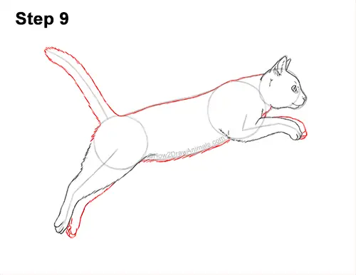 How to Draw a Cat Jumping Leaping Side View 9
