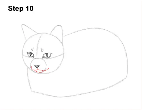 How to Draw a Tabby Kitty Cat Sitting Laying Roosting 10