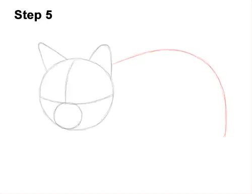 How to Draw a Tabby Kitty Cat Sitting Laying Roosting 5