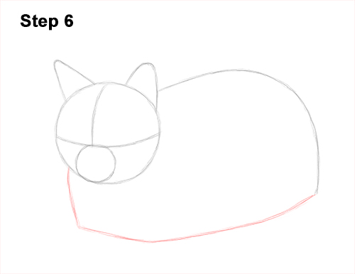 How to Draw a Tabby Kitty Cat Sitting Laying Roosting 6