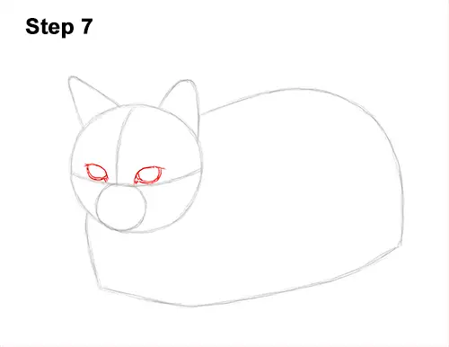 How to Draw a Tabby Kitty Cat Sitting Laying Roosting 7