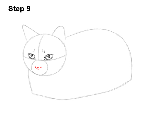 How to Draw a Tabby Kitty Cat Sitting Laying Roosting 9