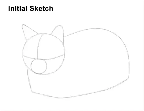 How to Draw a Tabby Kitty Cat Sitting Laying Roosting Guides Lines