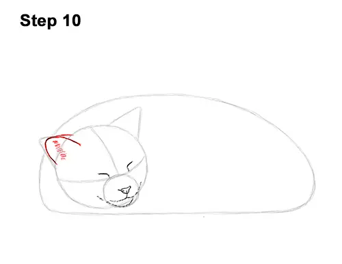 How to Draw a Cat Kitten Sleeping 10