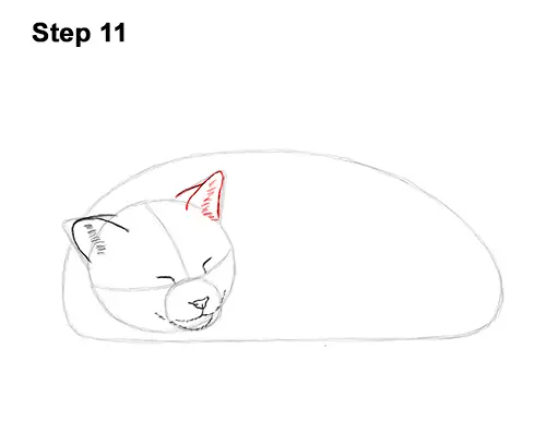 How to Draw a Cat Kitten Sleeping 11