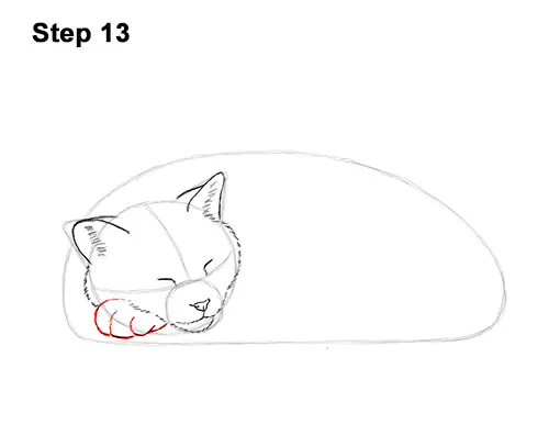 How to Draw a Cat Kitten Sleeping 13