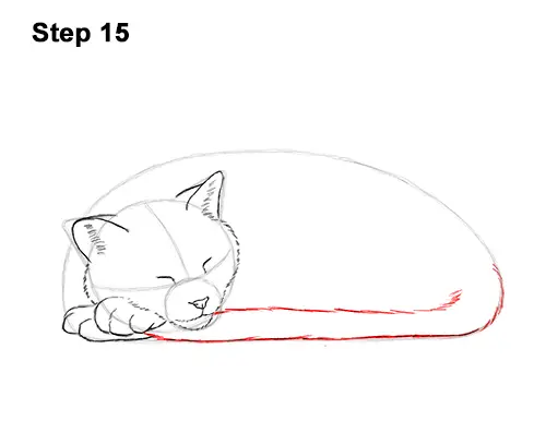 How to Draw a Cat Kitten Sleeping 15