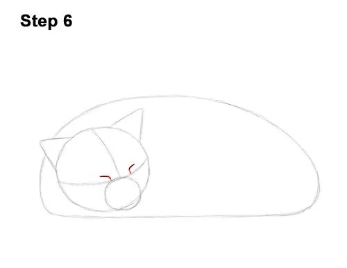 How to Draw a Cat Kitten Sleeping 6