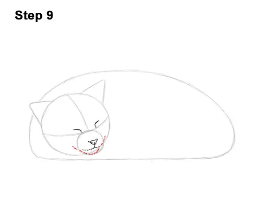 How to Draw a Cat Kitten Sleeping 9