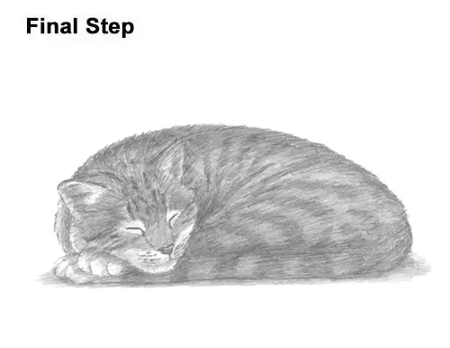 How to Draw a Cat Kitten Sleeping