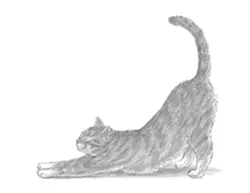 How to Draw a Tabby Cat Stretching Side View