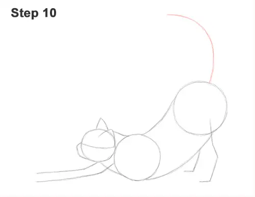 How to Draw a Tabby Kitten Cat Stretching 10