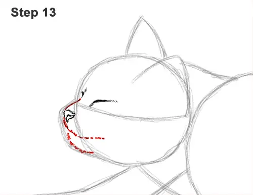 How to Draw a Tabby Kitten Cat Stretching 13