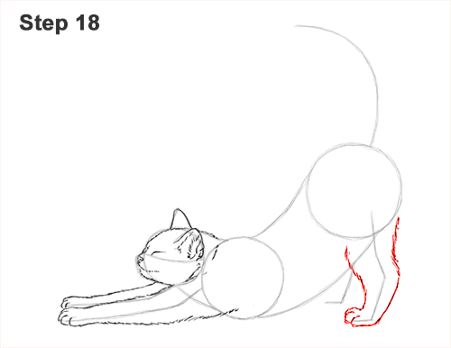 How to Draw a Tabby Kitten Cat Stretching 18
