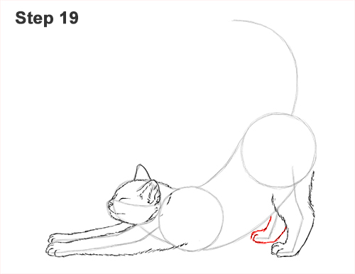 How to Draw a Tabby Kitten Cat Stretching 19