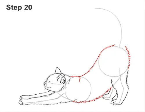 How to Draw a Tabby Kitten Cat Stretching 20