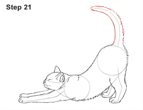 How to Draw a Tabby Kitten Cat Stretching 21