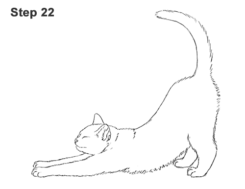 How to Draw a Tabby Kitten Cat Stretching 22