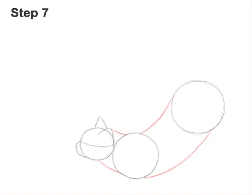 How to Draw a Tabby Kitten Cat Stretching 7