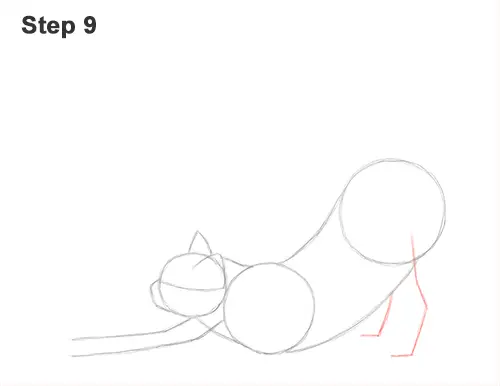 How to Draw a Tabby Kitten Cat Stretching 9