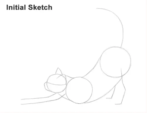 How to Draw a Tabby Kitten Cat Stretching Initial Sketch