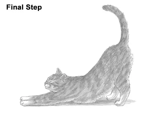 How to Draw a Tabby Kitten Cat Stretching