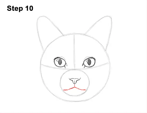 How to Draw a Tabby Kitty Cat Head Detail 10