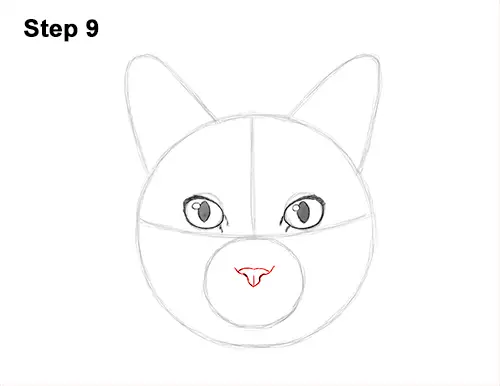 How to Draw a Tabby Kitty Cat Head Detail 9