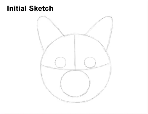 How to Draw a Tabby Kitty Cat Head Detail Guide Lines