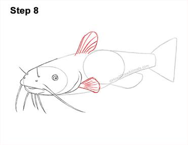 How to Draw a Catfish VIDEO & Step-by-Step Pictures