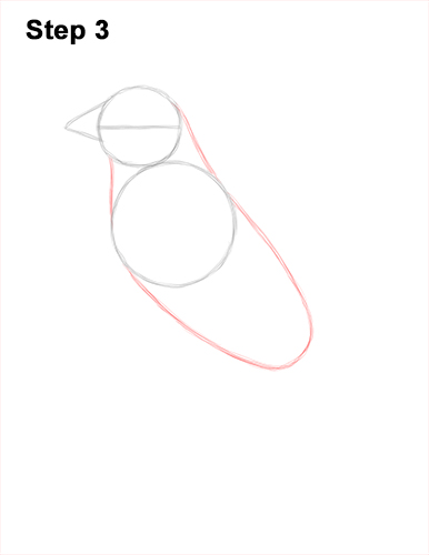 How to Draw a Cedar Waxwing Bird 3
