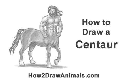 Centaur and Satyr Dancers by Kitsune64 on deviantART  Male figure drawing  Centaur Figure sketching