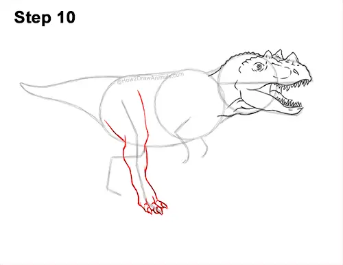 How to Draw a Ceratosaurus Dinosaur Walking Side View 10
