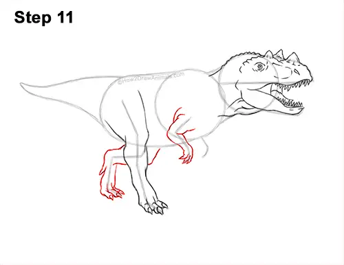 How to Draw a Ceratosaurus Dinosaur Walking Side View 11