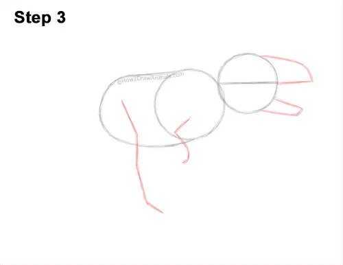 How to Draw a Ceratosaurus Dinosaur Walking Side View 3