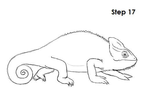 Draw Chameleon 17