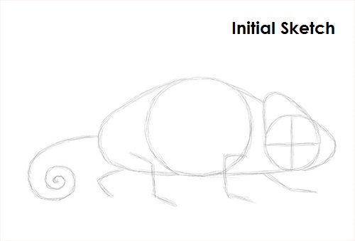 Draw Chameleon Sketch
