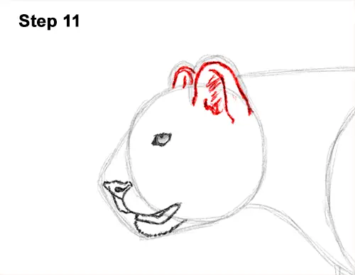 Draw Cheetah Running 11