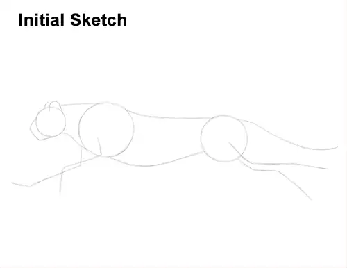 Draw Cheetah Running Sketch