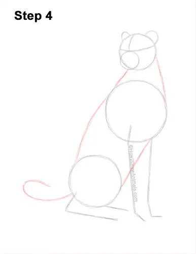How to Draw a Cheetah Sitting Side View 4