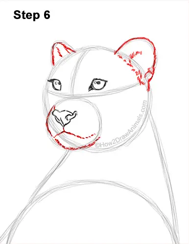 How to Draw a Cheetah Sitting Side View 6