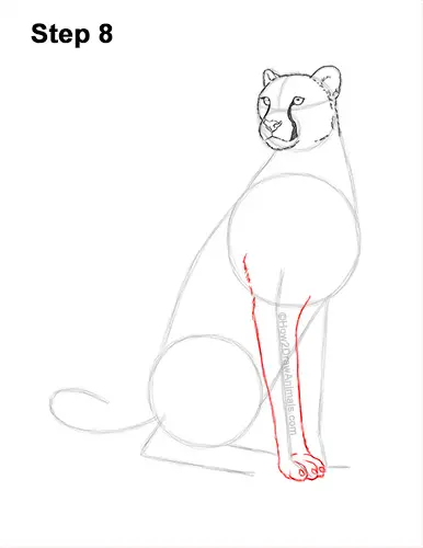 How to Draw a Cheetah Sitting Side View 8
