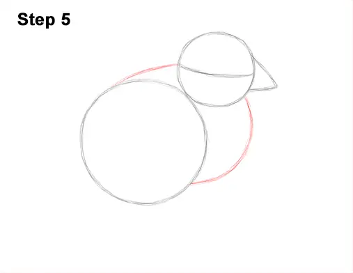 How to Draw Cute Baby Chick Chicken Hen 5