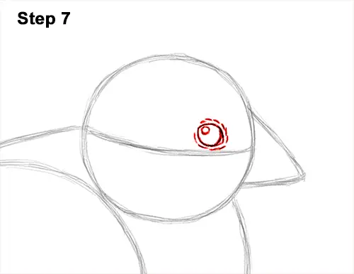 How to Draw Cute Baby Chick Chicken Hen 7