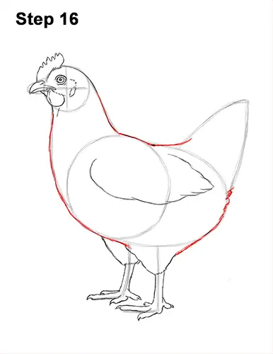 How to Draw a Chicken - Our Fun and Easy Hen Drawing Tutorial