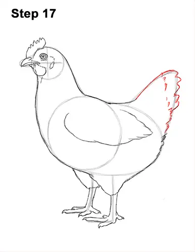 Chicken Template Printable - Colouring Page for Children