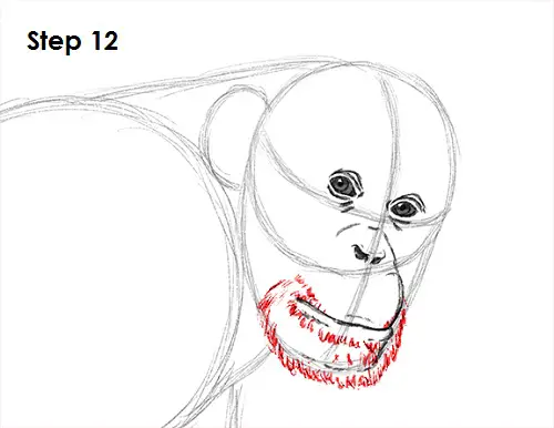 Draw Chipmanzee 12