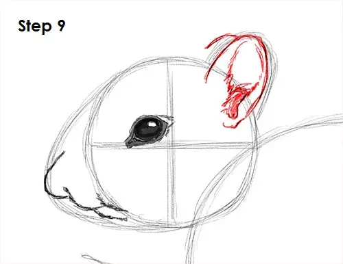 Draw Chipmunk 9