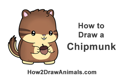 How to Draw Cute Cartoon Chipmunk Acorn