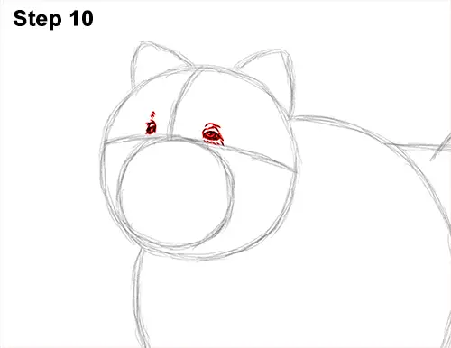 How to Draw Cute Chow Chow Puppy Dog 10